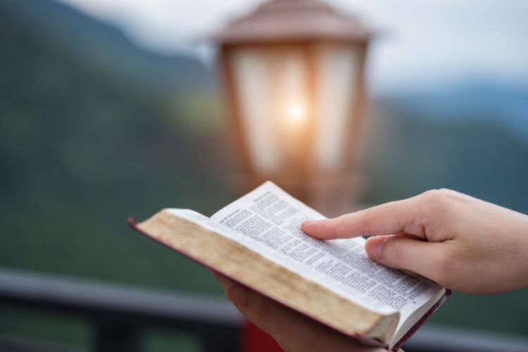 Busque recursos adicionais e compartilhe ao ler a bíblia